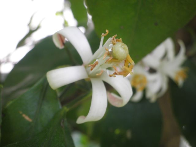 f0130894_180196.jpg