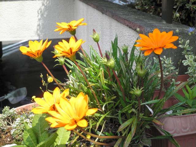 f0130894_1835237.jpg