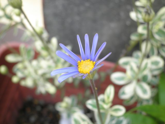 f0130894_1841365.jpg