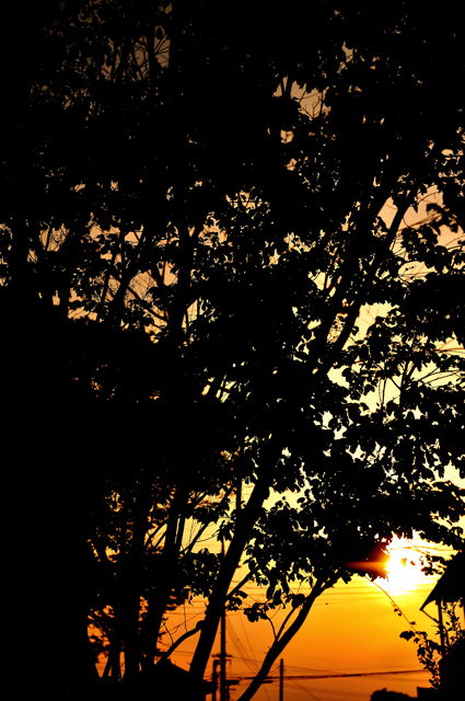 f0178900_19432714.jpg