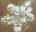e0175702_10405352.jpg