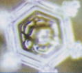 e0175702_10411648.jpg
