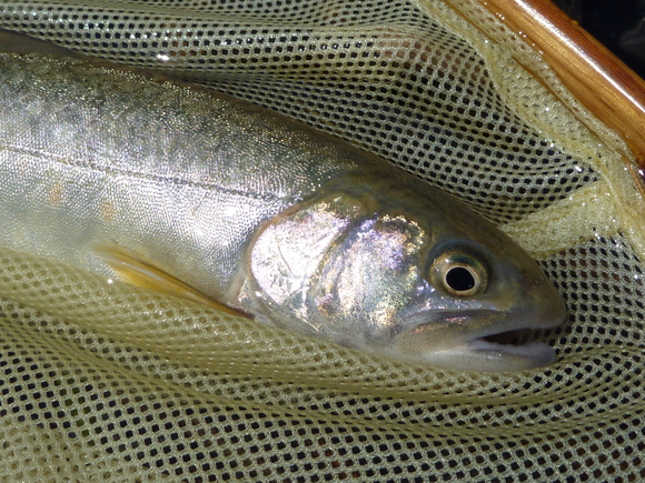 b0229003_20413035.jpg