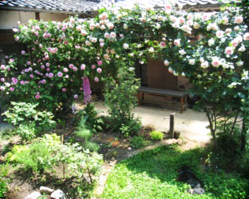 d0077603_111569.jpg