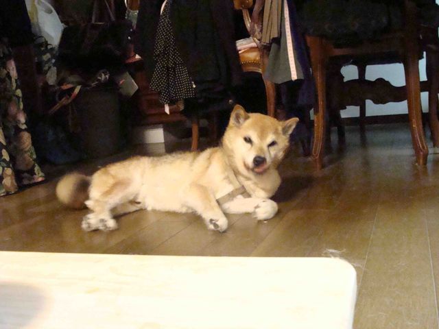 f0224905_13228.jpg