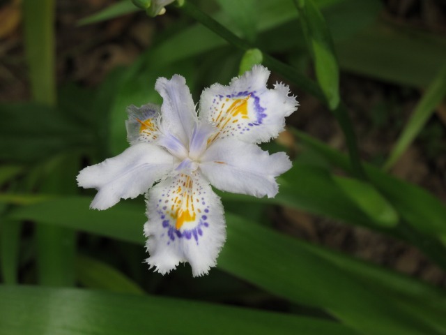 f0039907_1332873.jpg