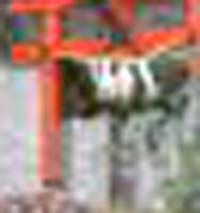 e0103408_18302845.jpg