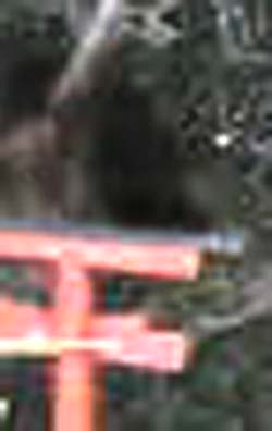 e0103408_1841539.jpg