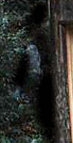 e0103408_2153165.jpg