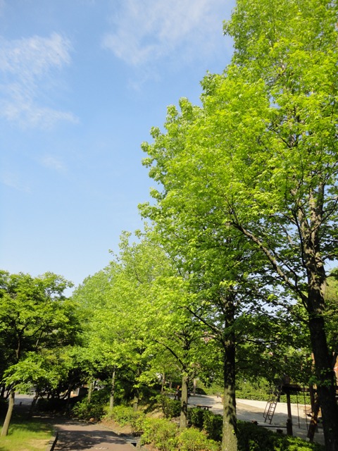 f0231709_1059339.jpg