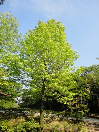 f0231709_105957.jpg
