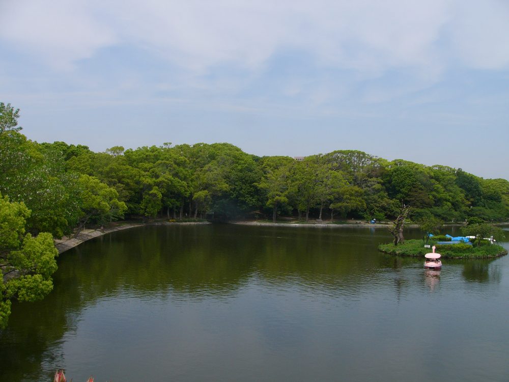 c0062511_655183.jpg
