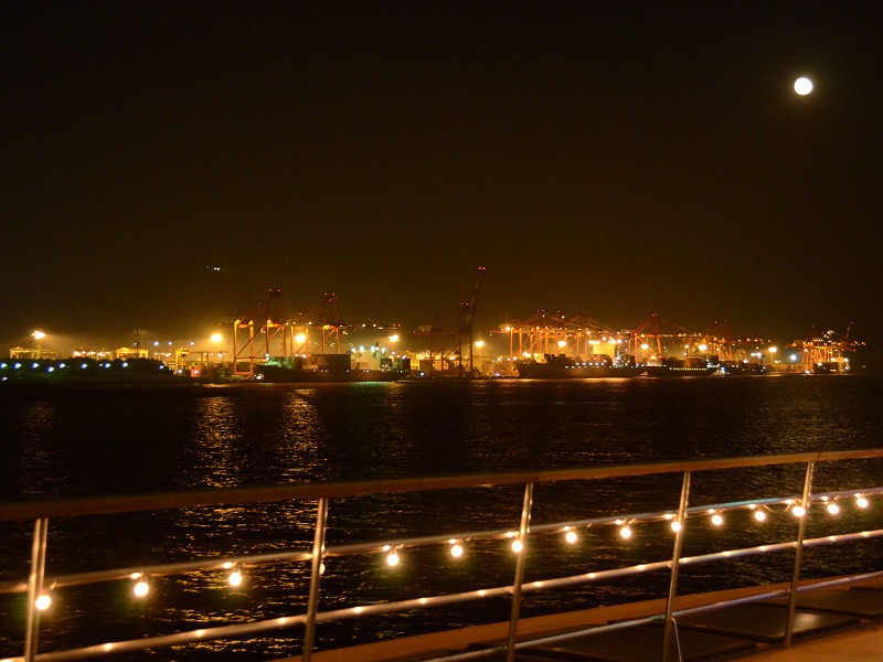 e0219011_1443365.jpg