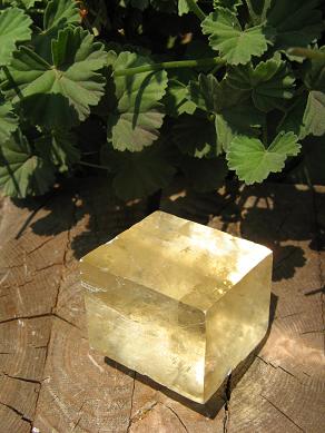 e0139012_14222750.jpg