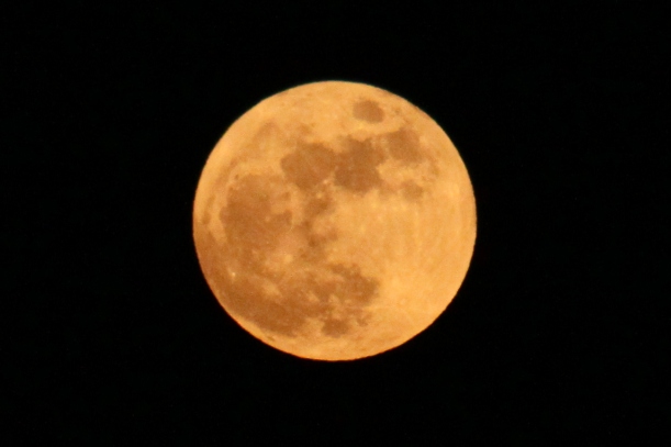 a0109914_058384.jpg