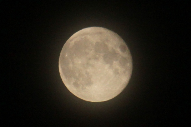 a0109914_1103349.jpg