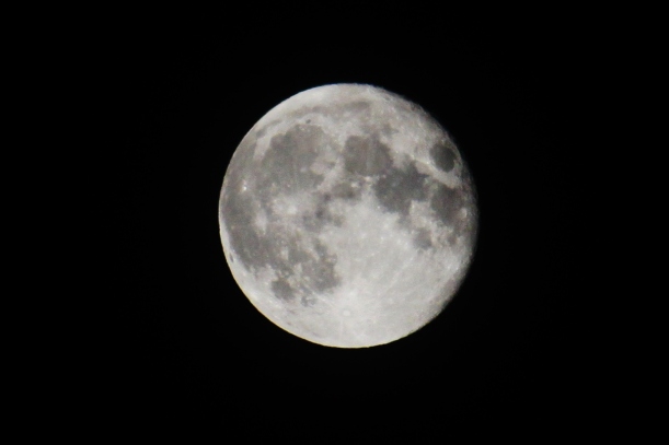 a0109914_12668.jpg