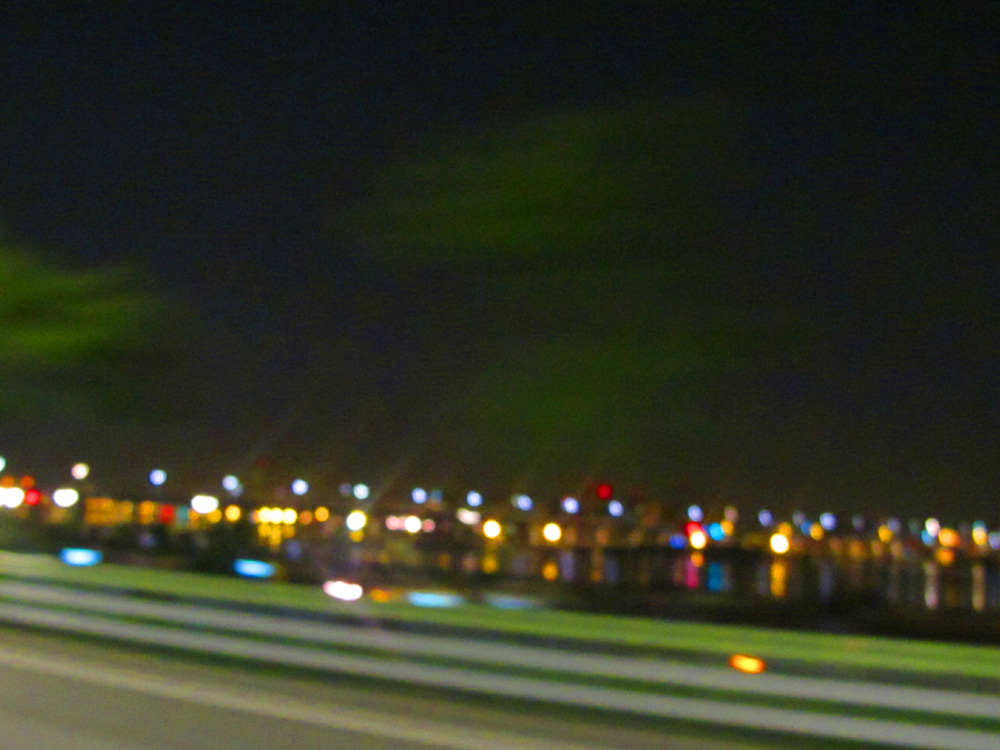 a0101715_236264.jpg