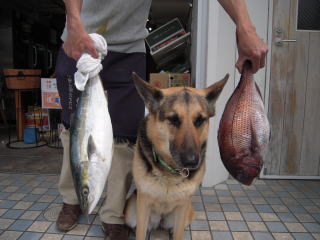 c0090220_11302568.jpg