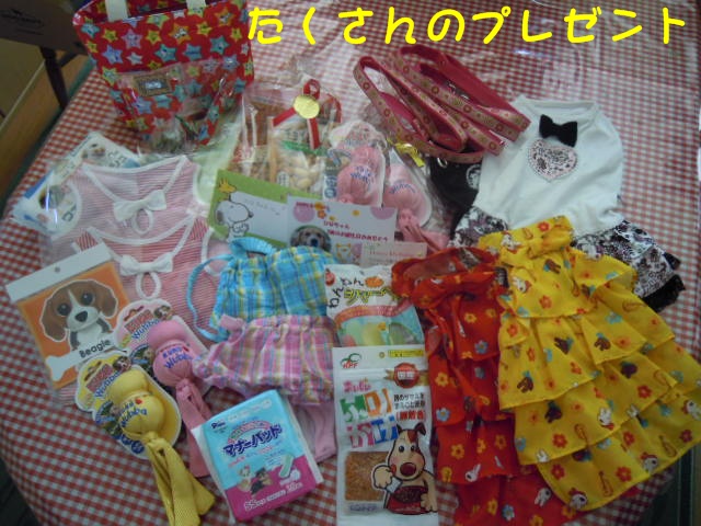 c0166622_1710337.jpg