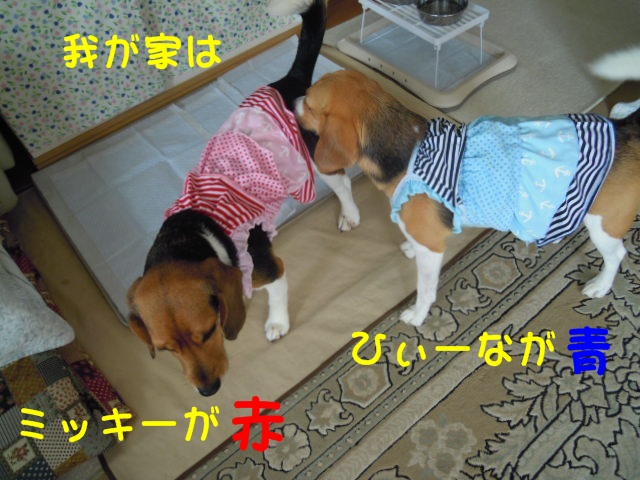 c0166622_17121640.jpg