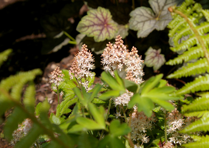 e0136424_2010415.jpg