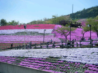 c0074025_12194584.jpg