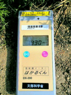c0074025_1404323.jpg