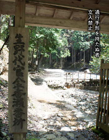 e0112226_1439930.jpg
