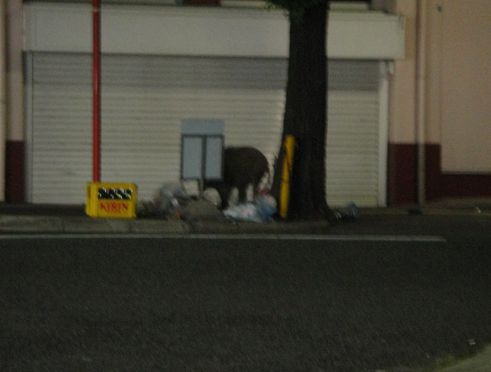 f0088731_15101621.jpg
