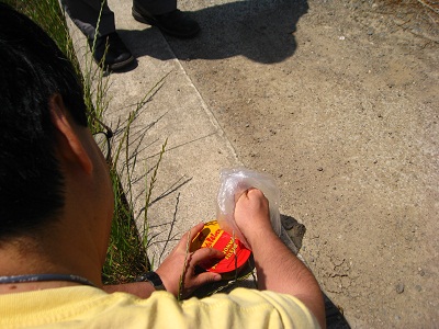 d0062132_1615946.jpg
