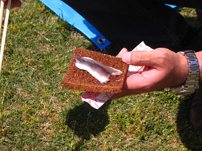 d0062132_16515755.jpg
