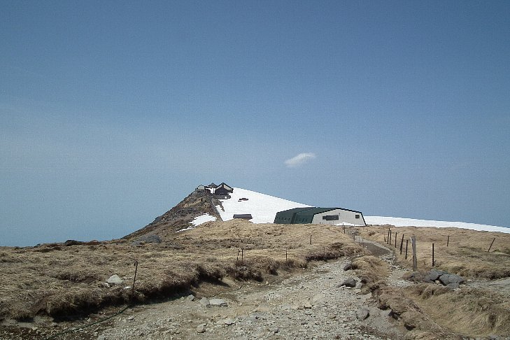 f0118332_2346755.jpg