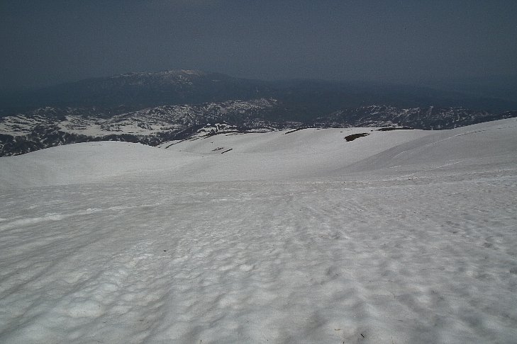 f0118332_23501750.jpg