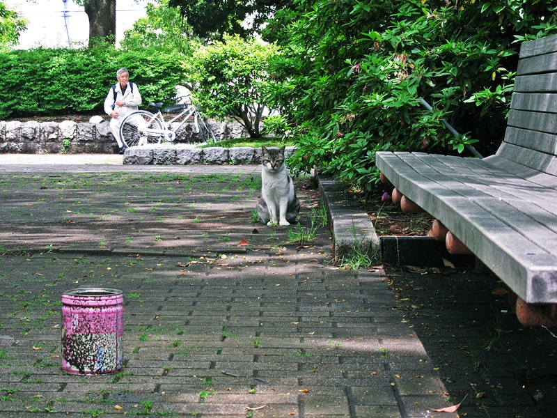 c0164234_9301668.jpg