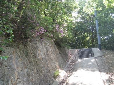 c0077338_610475.jpg