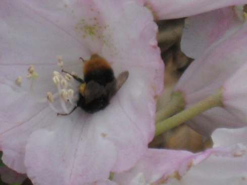 c0077338_6234645.jpg