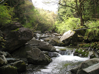 f0065341_1127281.jpg