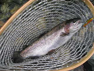 f0065341_11282795.jpg