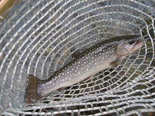 f0065341_1130057.jpg