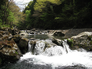 f0065341_1136336.jpg