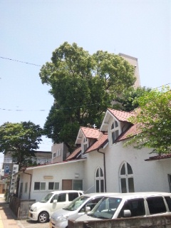 b0199742_2020914.jpg