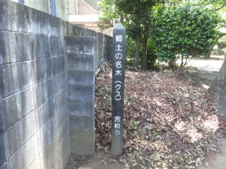 b0199742_20212529.jpg