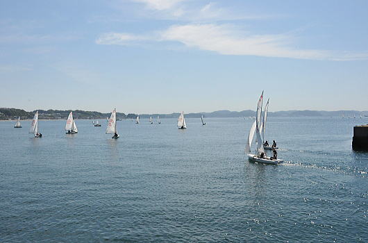 f0094843_015063.jpg