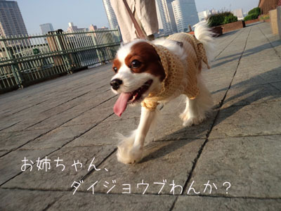 a0120944_17374268.jpg