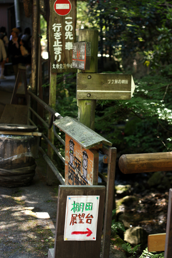 b0148547_11263513.jpg