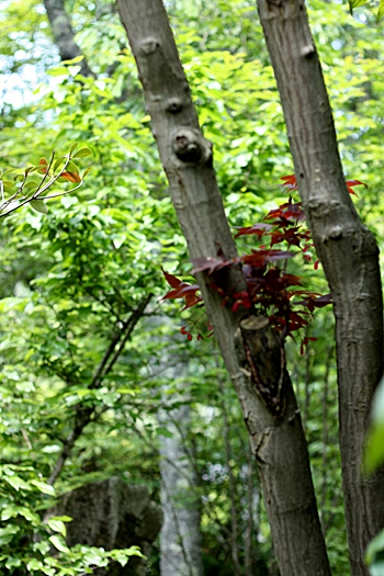 b0148547_12335433.jpg