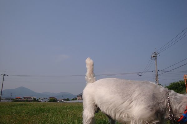 b0214647_2323947.jpg