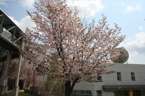 a0098048_15152885.jpg