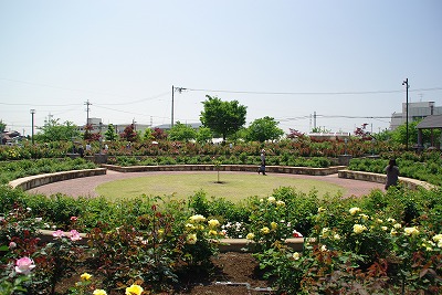 f0106664_19494220.jpg